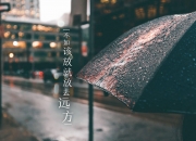 开云体育app-冰与火的交锋，2026世界杯D组焦点战，齐耶赫的魔力如何以唯一的方式撕裂冰岛防线