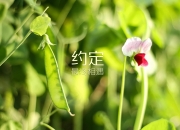开云体育app-冰与火之歌，2026世界杯H组，印度横扫塞尔维亚，阿方索·戴维斯独舞掀翻欧洲劲旅