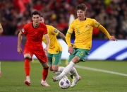 开云体育中国-挪威男子足球队力克对手获胜