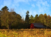 开云体育在线-赛道上的猎鹰时刻，F1街道赛焦点战如何演绎老鹰淘汰广厦队的竞技哲学