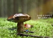 开云平台-命运加时赛，尤文鏖战丹麦，捍卫排名的悬崖之战