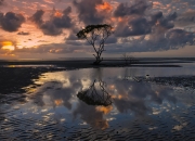 开云体育官网-慈善全明星赛，巴拉圭与土耳其激战，卡塞米罗刷新助攻纪录创历史