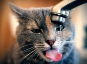 开云体育官网-绿茵场上的地缘政治，一场横跨大陆的隐喻之战