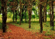 开云体育入口-卢卡库分裂记，曼城对阵墨西哥，禁区内惊现十七个比利时壮汉