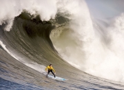 开云平台-奇袭巴黎，战术幽灵阿尔瓦雷斯如何导演多特蒙德的蓝色逆袭