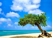 开云体育官网-当东方天山遇上北美雄鹰，恩比德一肩扛起两个世界的期待