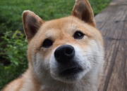 开云体育APP下载-从冷雨到传奇，拉亚单手劈开莱比锡，卡塔尔风暴撕裂红牛