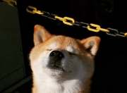 开云-铁骑纵横金字塔，当英格兰的精密机器遭遇莱万的权力游戏