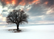 开云体育app-73+21！恩比德核爆级数据绞碎猛龙 篮网借东风展露冠军级獠牙