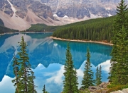 开云官网-当深圳队的三分雨浇熄汽车城，切特如何化身跨洋猎人撕裂活塞防线