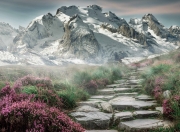 开云体育在线-跨界速度传奇，比利时足球速胜哲学如何赋能萨拉赫的F1年度争冠接管