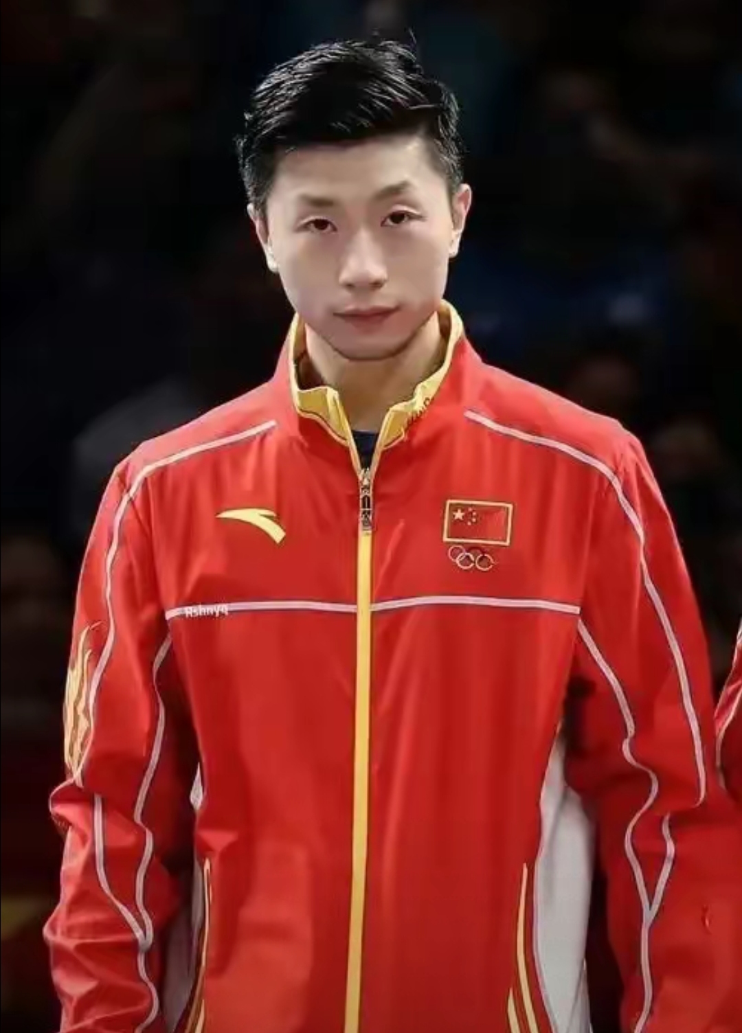 韩国队完胜奥地利队，马龙惊艳四座的简单介绍