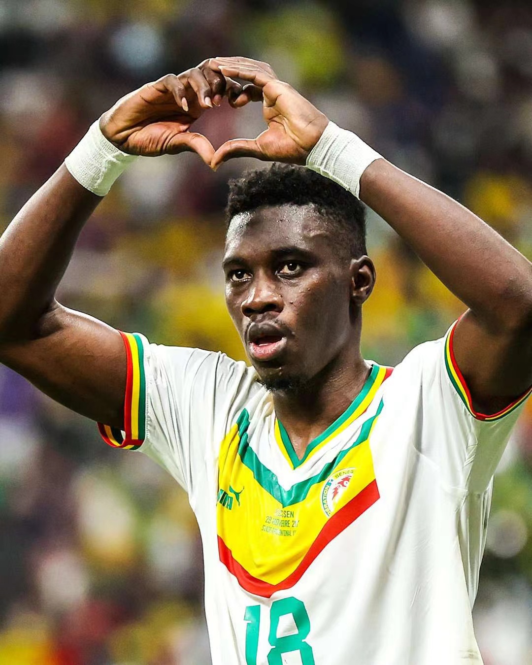 塞内加尔绝杀智利，阿尔瓦雷斯关键制胜