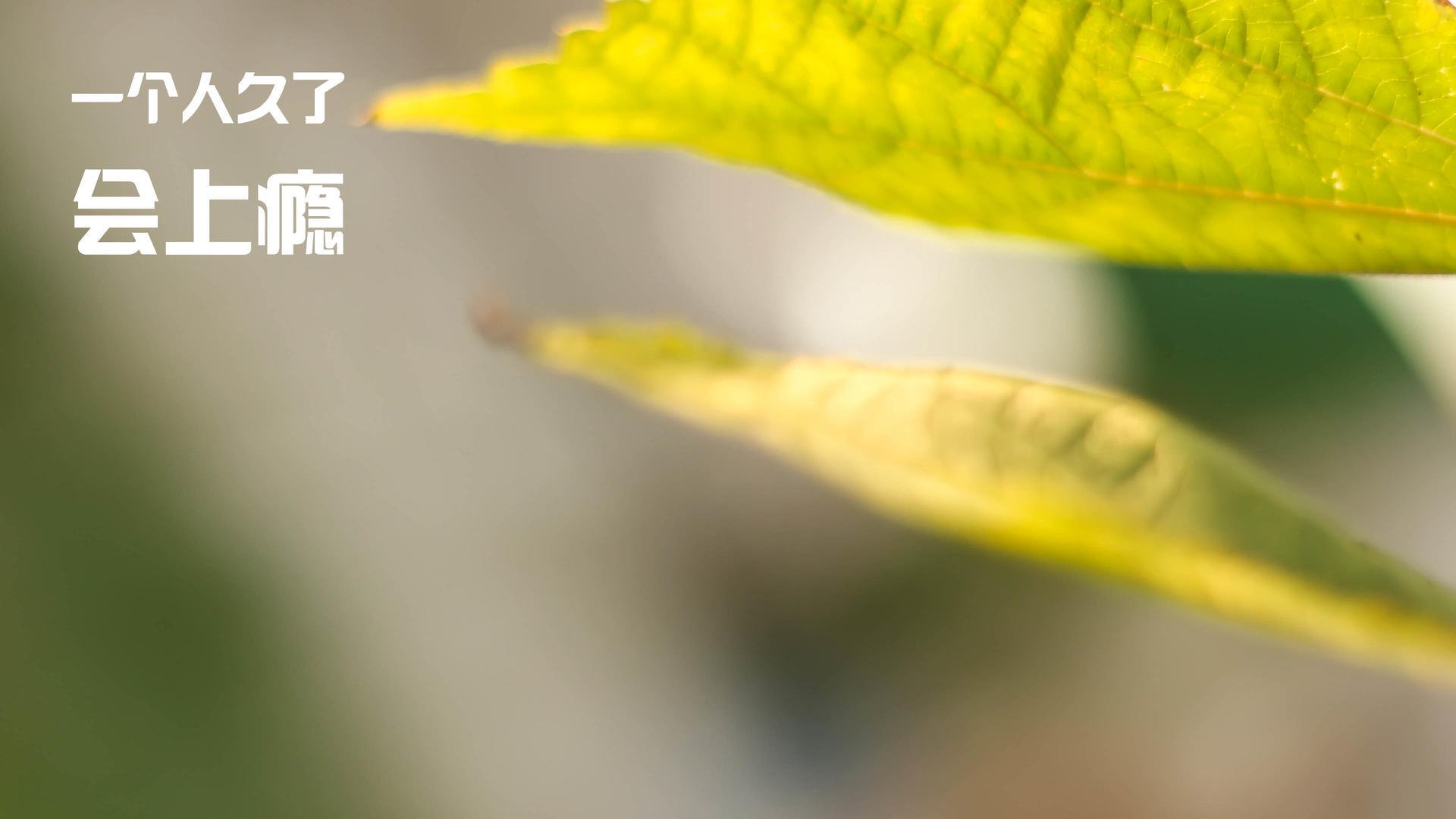 波斯湾的资本之风,吹散加泰罗尼亚的梦,库尔图瓦五百场零封铸就里程碑