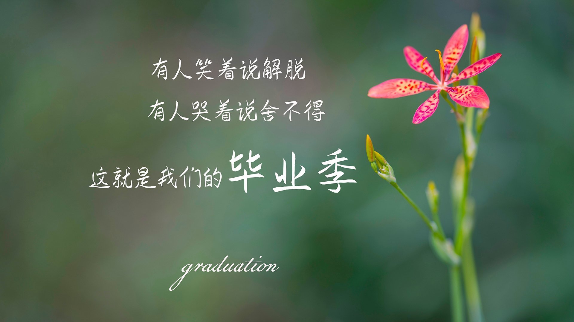 龙火传承,从北境新王到希腊怪物,总决赛舞台的权杖交接