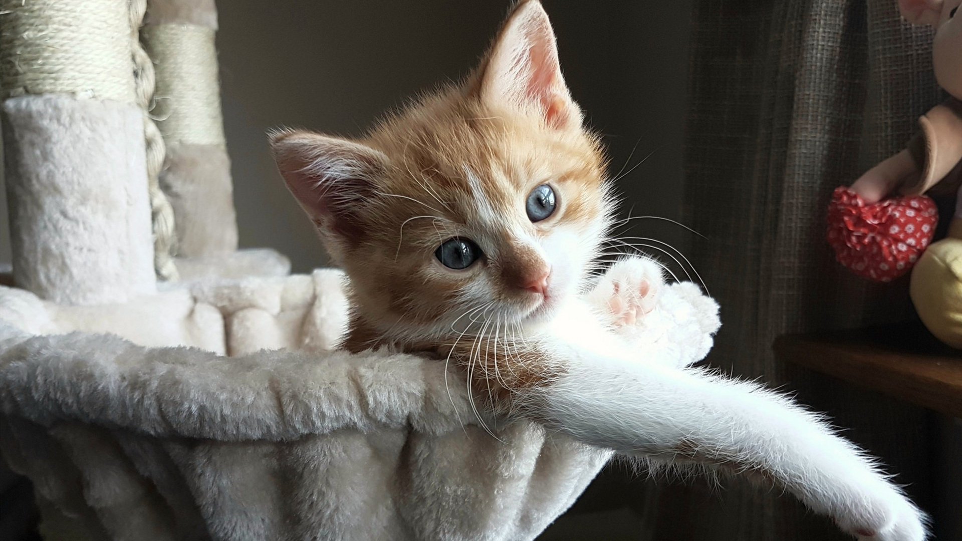 铁蹄踏梦，当英格拉姆化身世界排名争夺战的执剑人