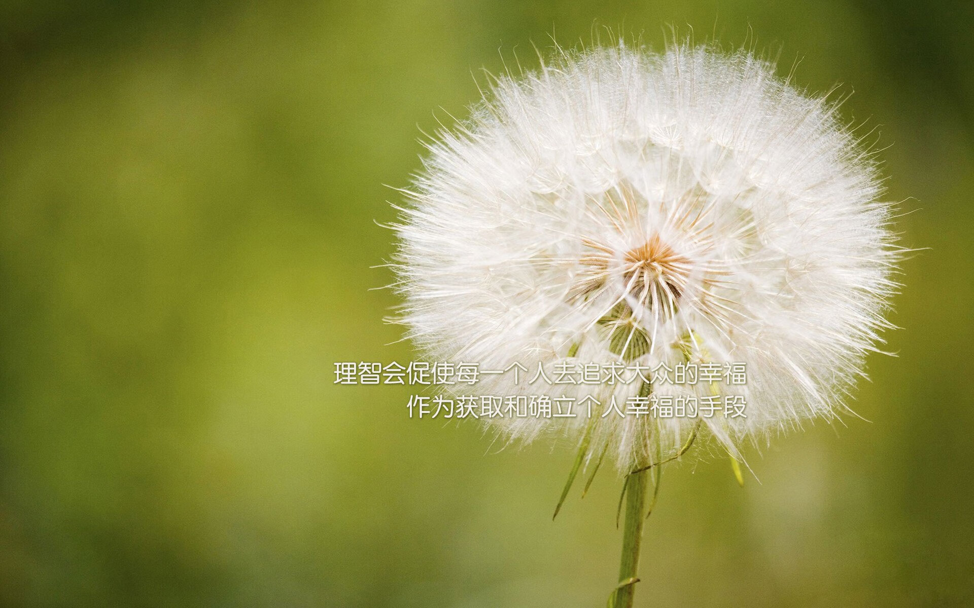 绝境重生，白热交锋中的一球封喉—小贾伦·杰克逊的唯一性瞬间