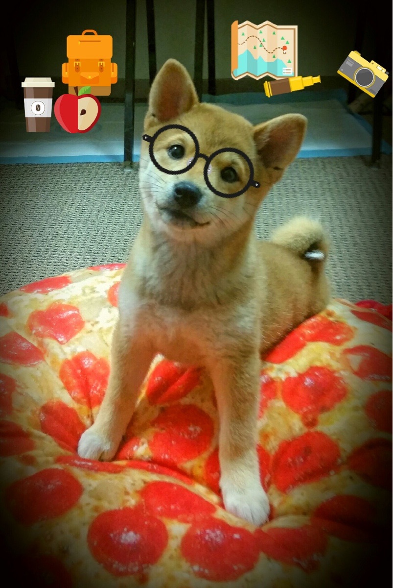 雷恩掀翻旧王，梅西加冕新神，足球世界的权力交接夜