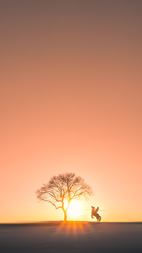 爵士慢板,魔术师哈利伯顿的爆发与休斯顿火箭的节奏之困