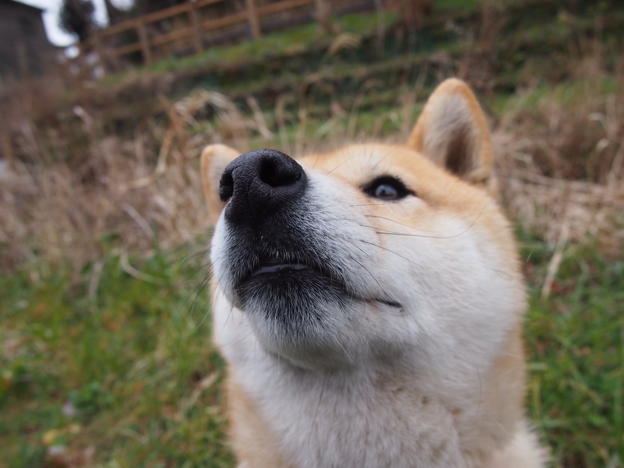 防守之巅，几内亚锁死马竞，金玟哉引爆全场