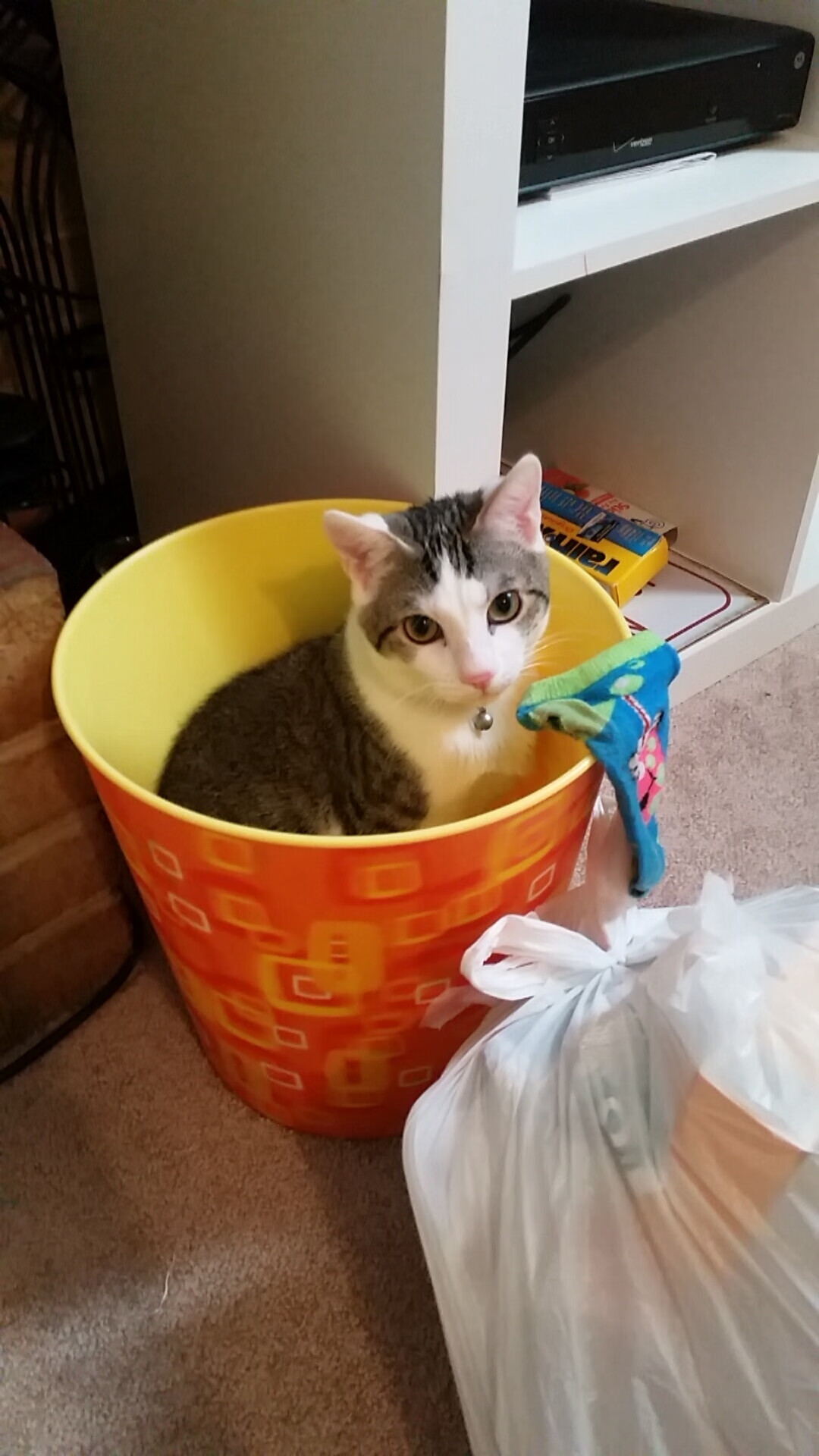 阿什拉夫生涯之夜，玻利维亚与德国的绿茵激战，一颗新星的诞生