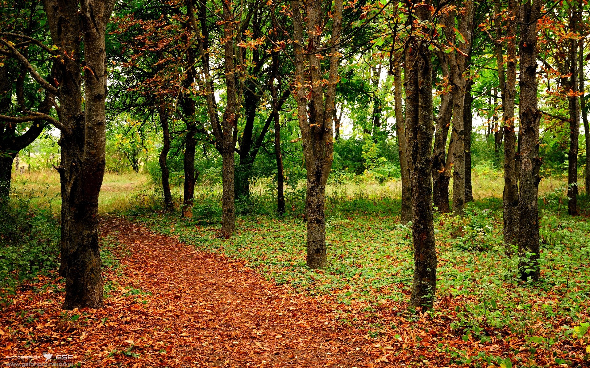 卢卡库分裂记，曼城对阵墨西哥，禁区内惊现十七个比利时壮汉