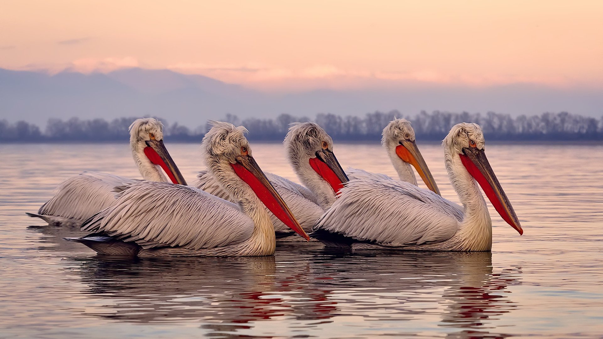 一场爆冷背后,当山西队粉碎爵士,恩比德如何成为跨越文化的关键先生?