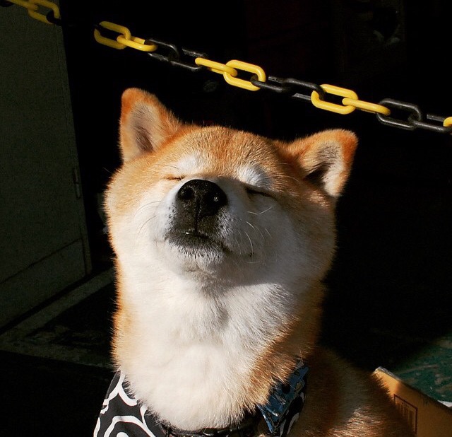 跨时空较量,当辽宁铁骑在抢七夜全面压制独行侠—一场虚实交织的篮球狂想