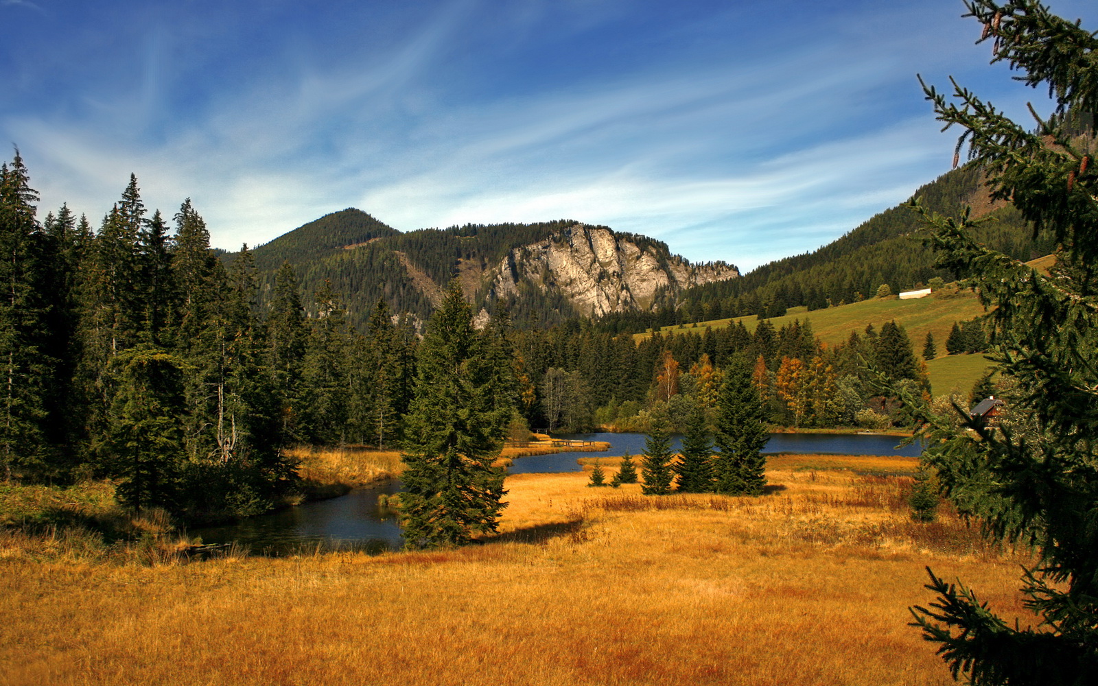 德布劳内的手术刀与非洲钢刃，那些淬火时刻如何雕琢足球的永恒质感