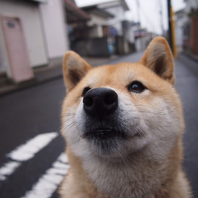 新大陆风暴，美国足球用一场4-1让都灵的童话落幕，佩德里是唯一证人