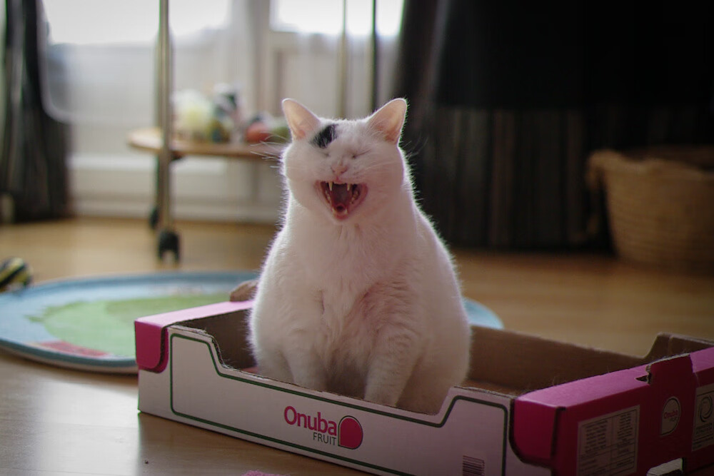 绝境曙光，霍勒迪末节封神，独行侠生死战险胜骑士