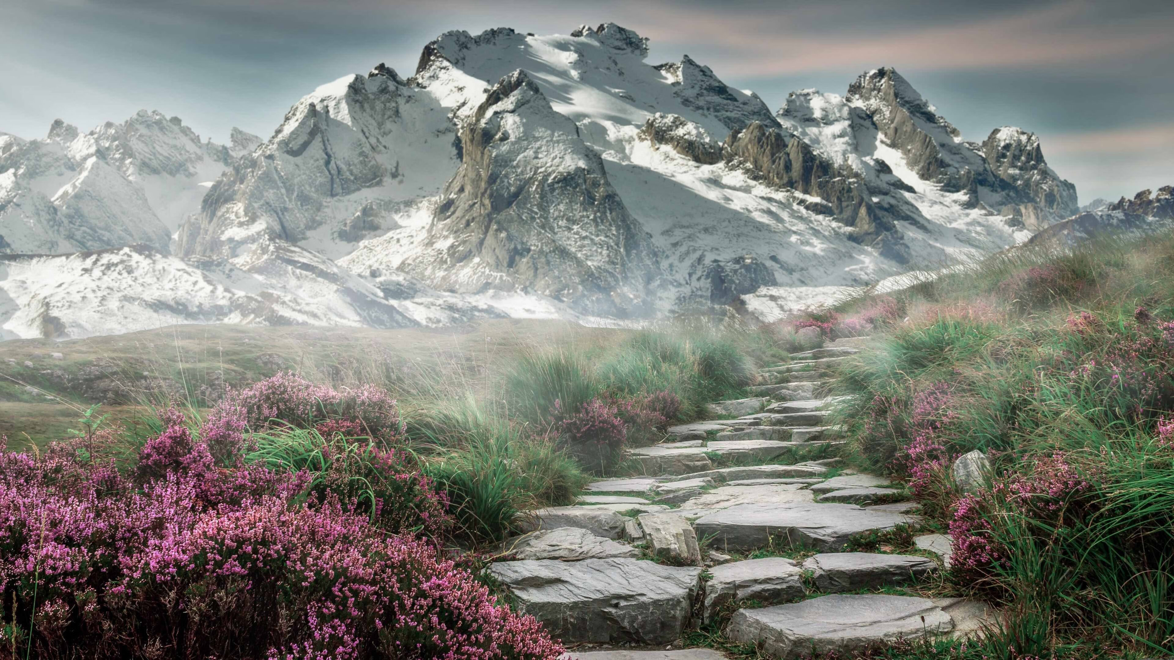 跨界速度传奇，比利时足球速胜哲学如何赋能萨拉赫的F1年度争冠接管