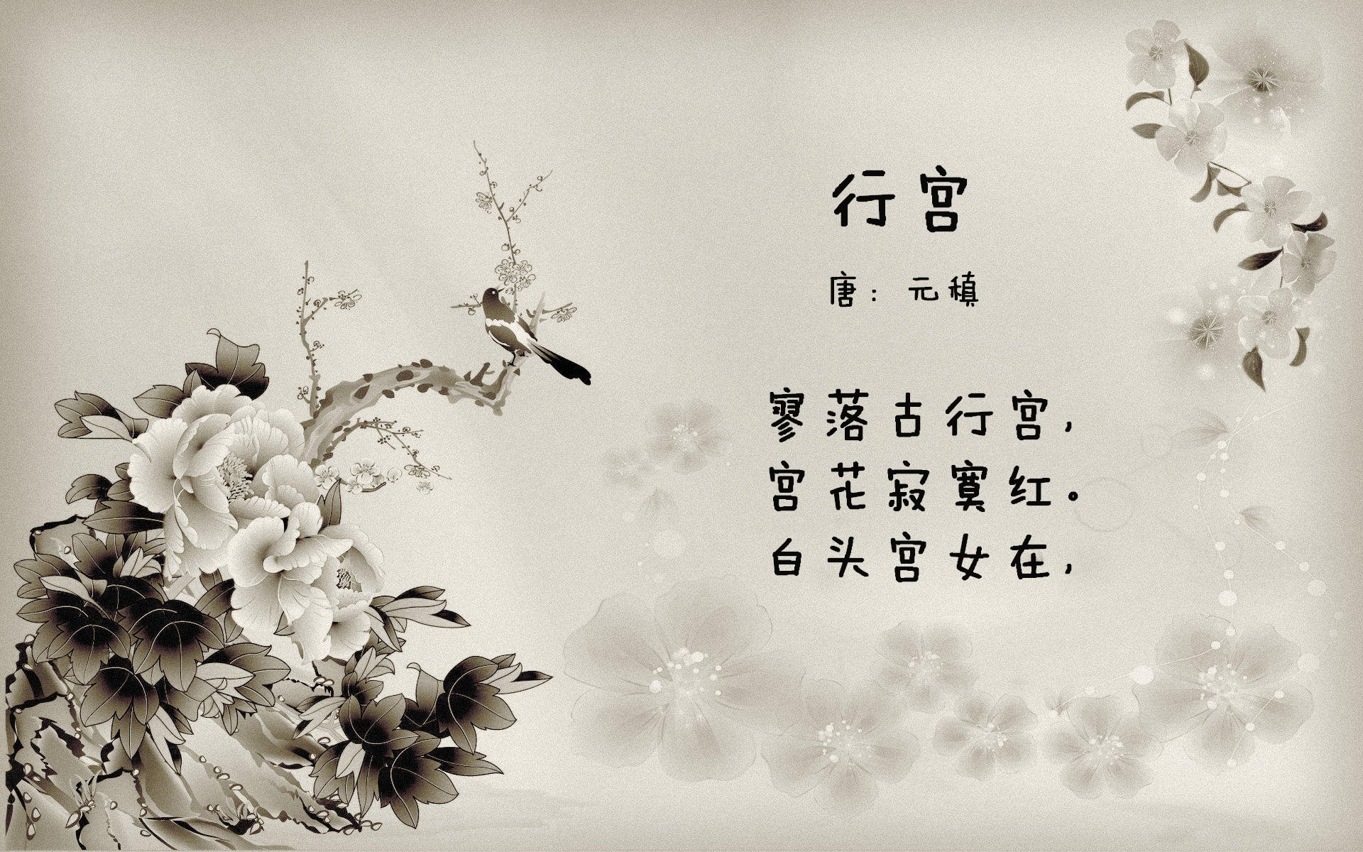 沙漠风暴席卷中美洲，阿诺德一人成军，阿联酋在2026世界杯D组焦点战中演绎足球新秩序