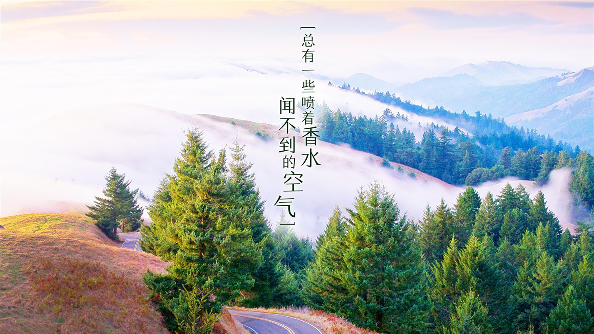 潘帕斯之刃劈开安第斯,2026世界杯E组巅峰战,梅西以艺术之名独舞,阿根廷血洗智利