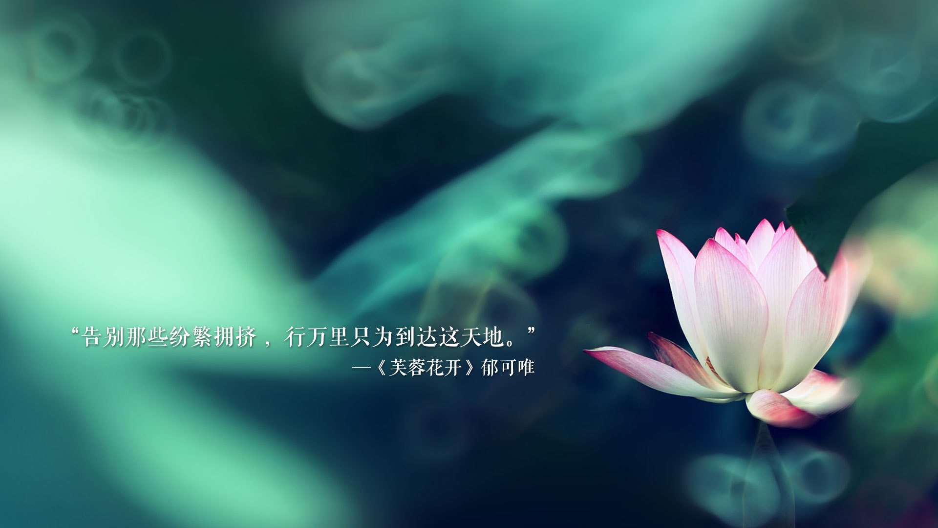 维京战吼震彻2026,冰岛横扫阿联酋,格列兹曼绝命一击,高卢雄鸡演绎最惊魂逆转