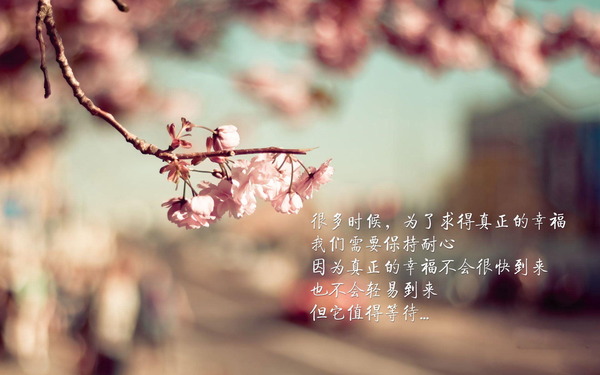 当安第斯雄鹰撕裂欧洲铁幕,德容的独舞与哥伦比亚的复仇序章
