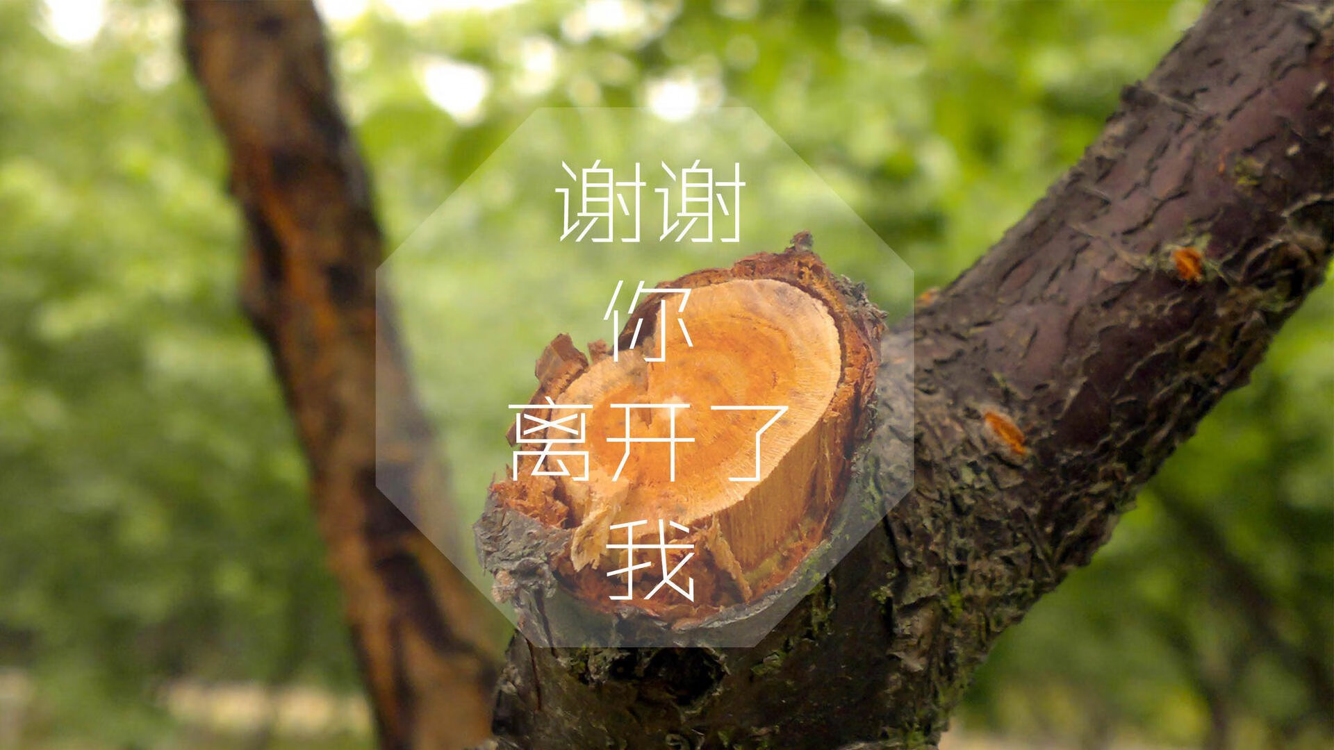 大漠孤烟直,黑星陨落时,伊拉克以钢铁意志撬动世界杯天平,登贝莱星光照亮多哈之夜